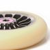 Koliesko Aztek Architect V2 110 Cream